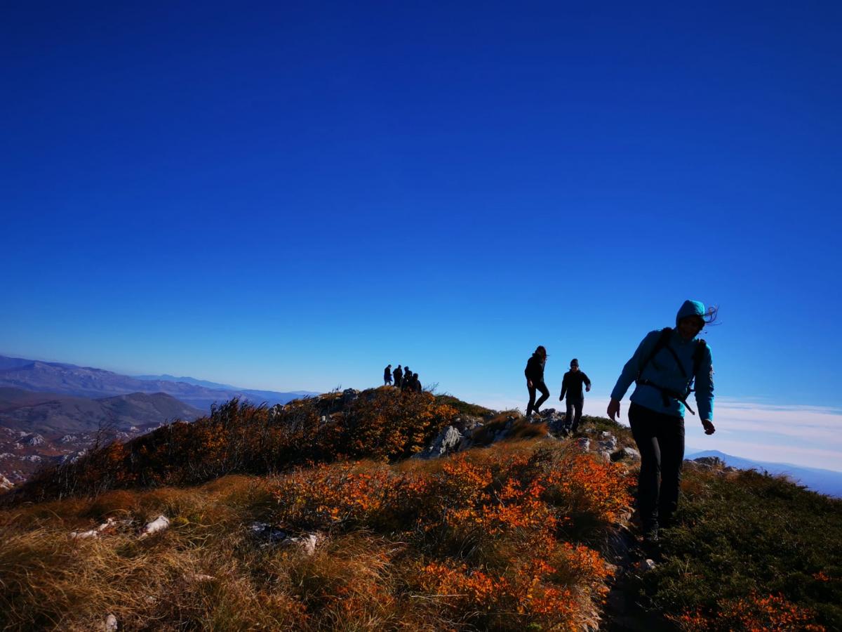 WhatsApp-Image-2021-10-24-at-192456-2