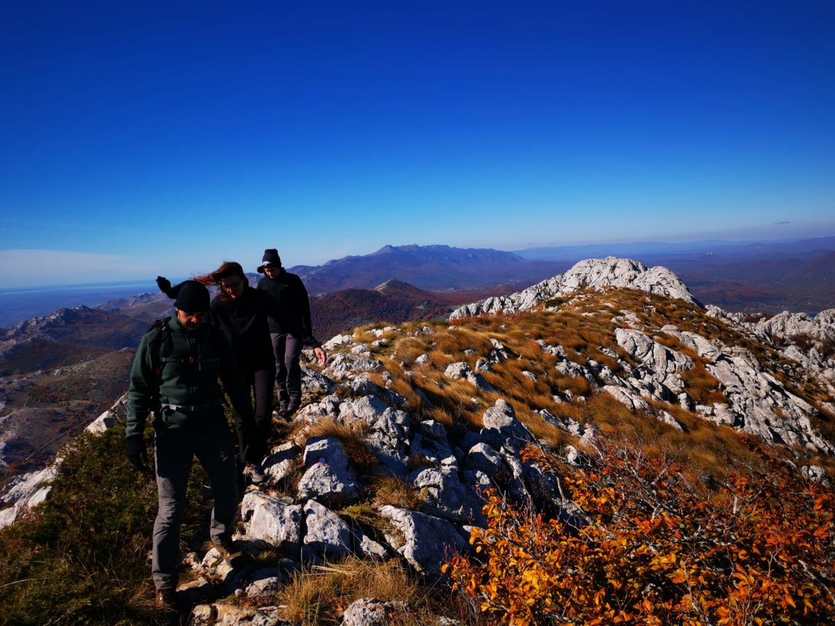 WhatsApp-Image-2021-10-24-at-192456-5