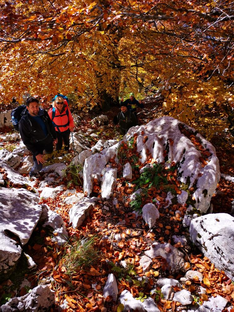 WhatsApp-Image-2021-10-24-at-192457-1