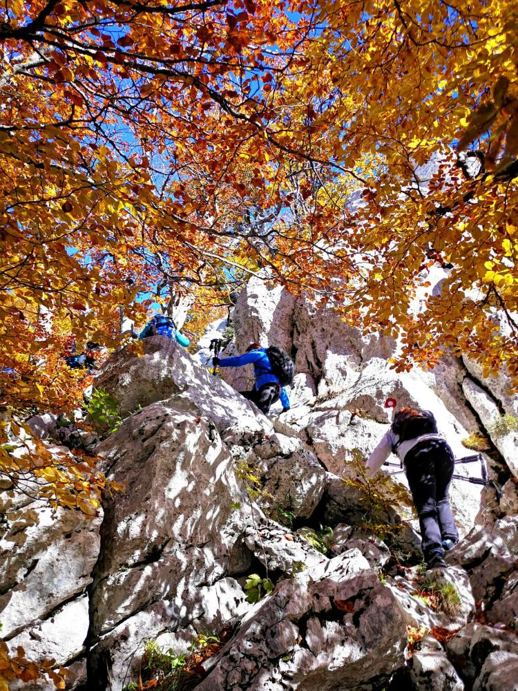 WhatsApp-Image-2021-10-24-at-192457-4