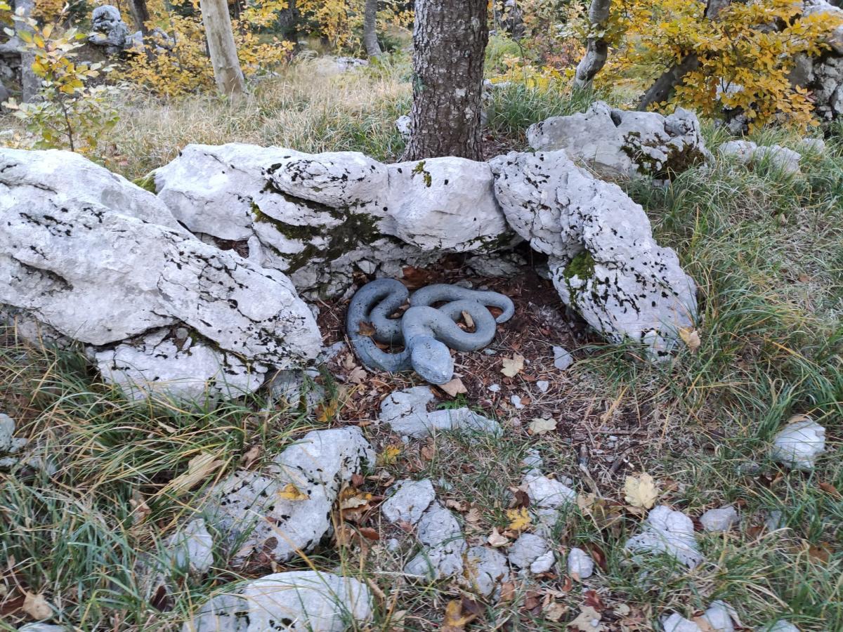 WhatsApp-Image-2021-10-24-at-200315