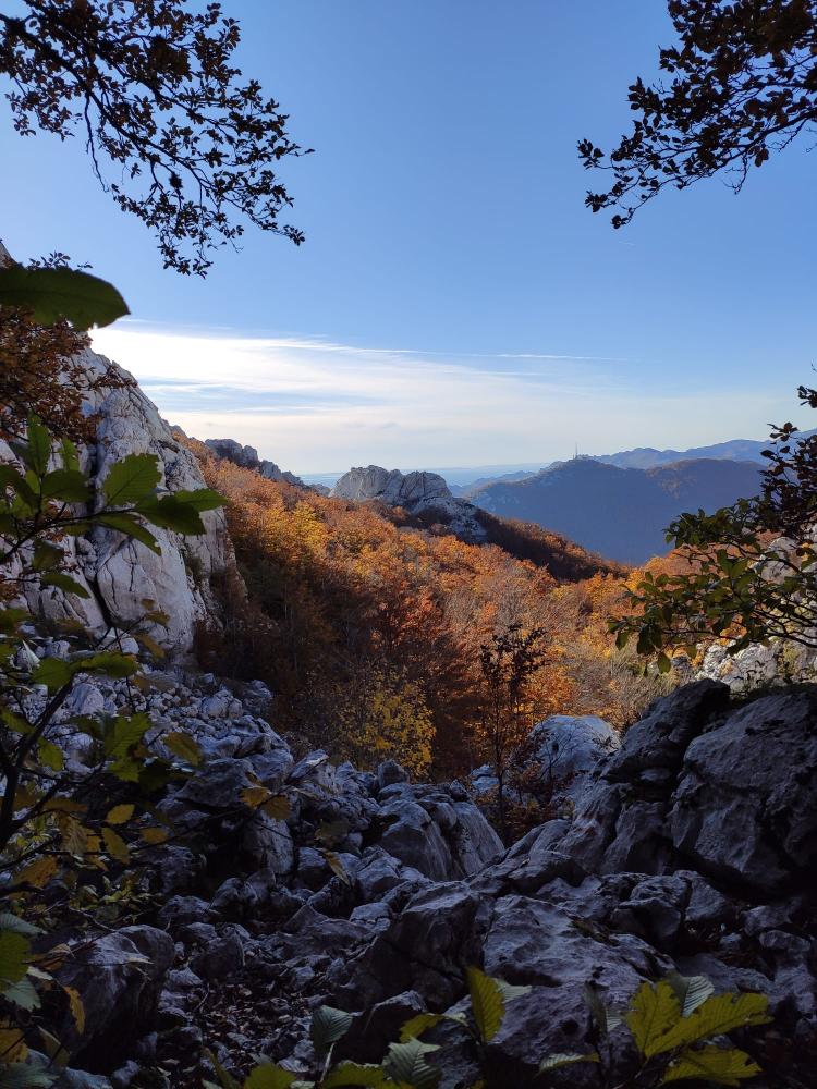 WhatsApp-Image-2021-10-24-at-200316