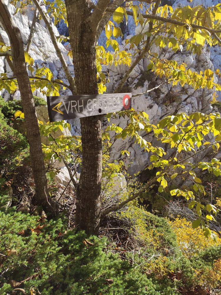 WhatsApp-Image-2021-10-24-at-200318