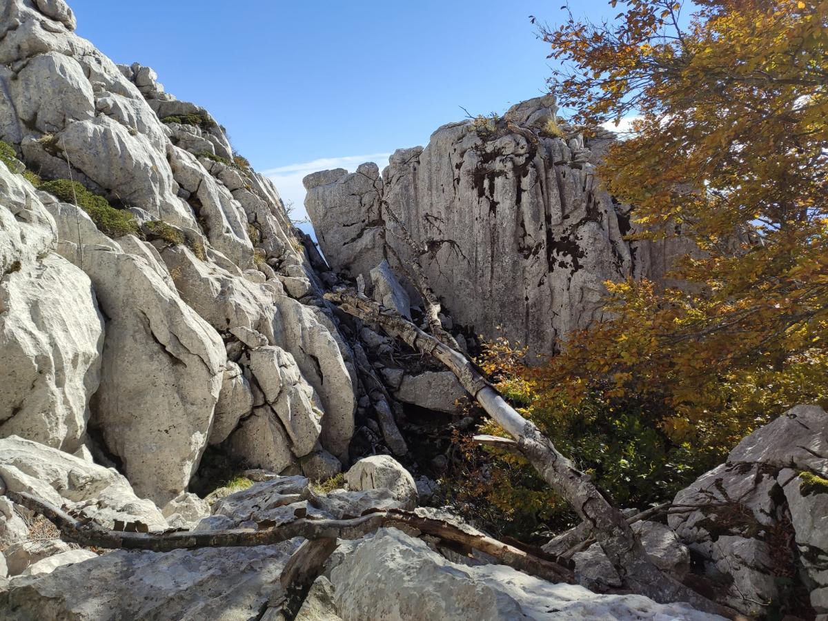 WhatsApp-Image-2021-10-24-at-200329