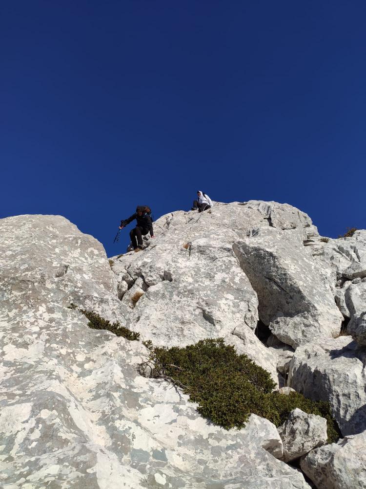 WhatsApp-Image-2021-10-24-at-200331