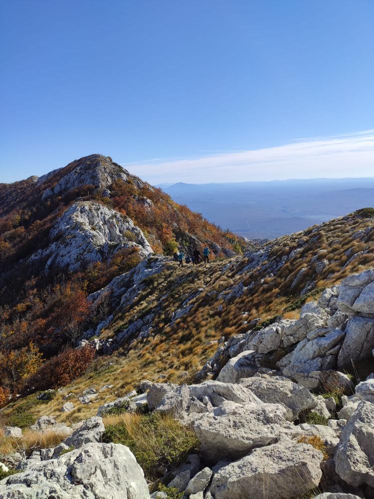 WhatsApp-Image-2021-10-24-at-200332-1