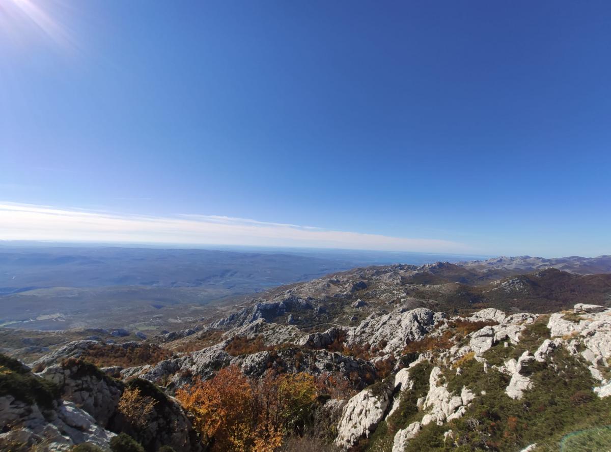 WhatsApp-Image-2021-10-24-at-200333