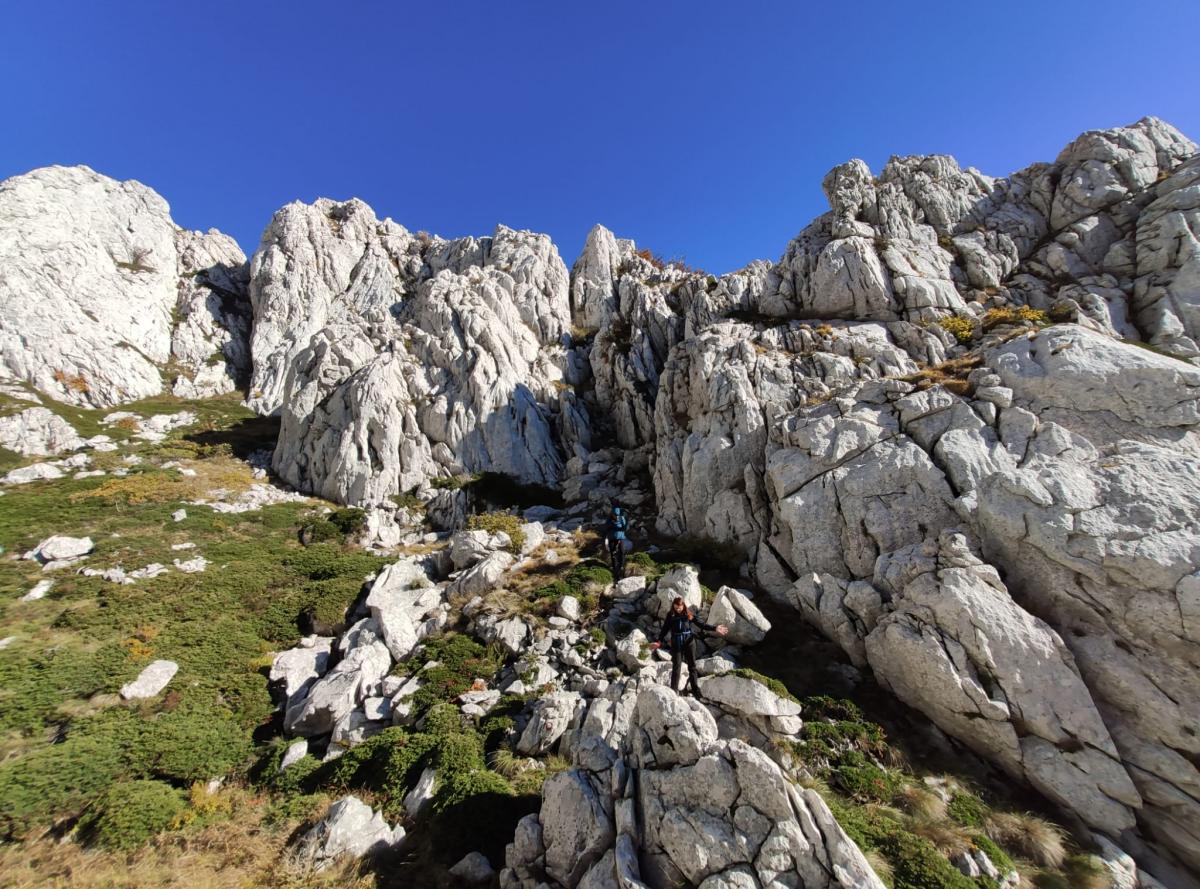 WhatsApp-Image-2021-10-24-at-200334-2