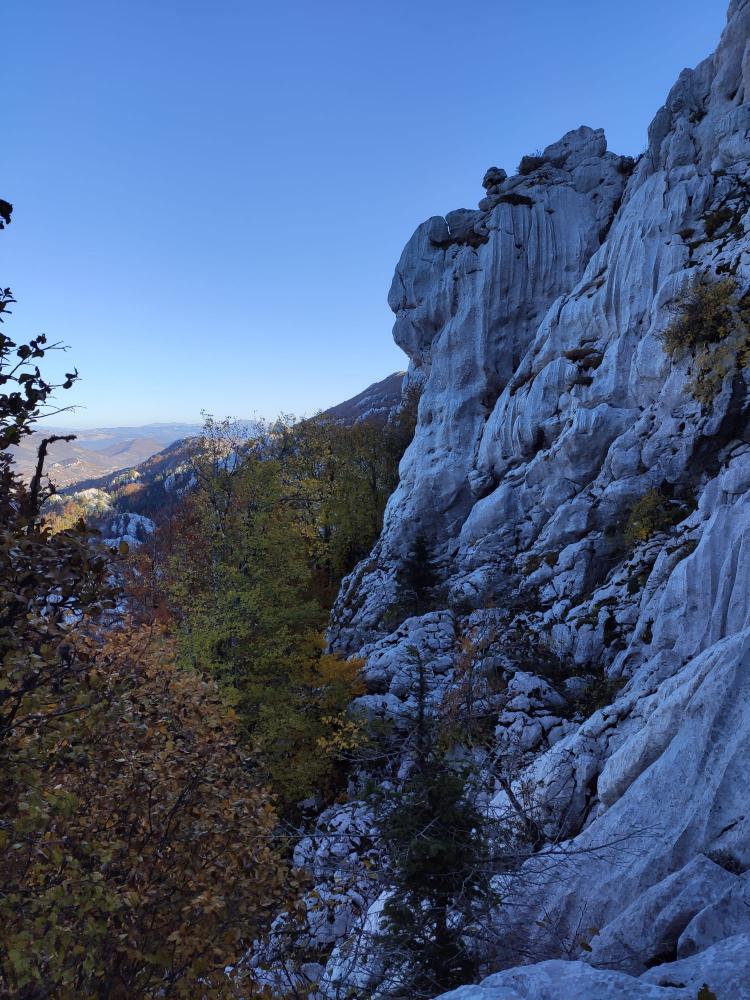 WhatsApp-Image-2021-10-24-at-200335