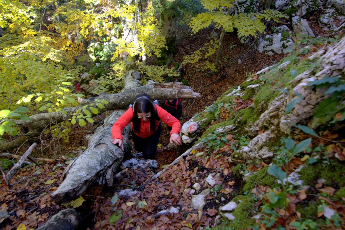 WhatsApp-Image-2021-10-24-at-201515-2