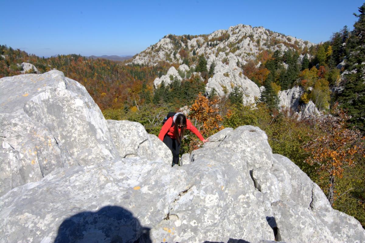 WhatsApp-Image-2021-10-24-at-201516-2