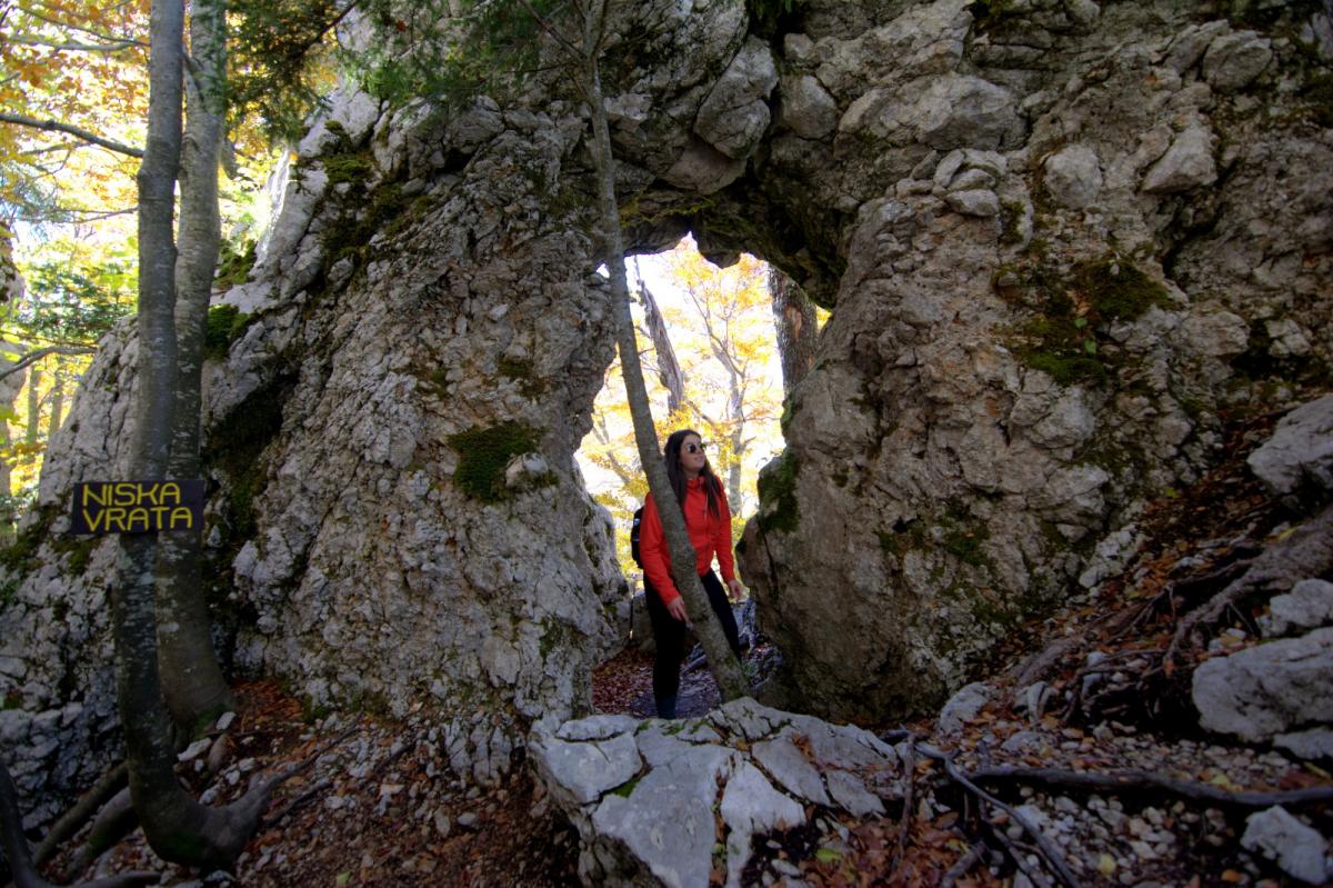 WhatsApp-Image-2021-10-24-at-201516