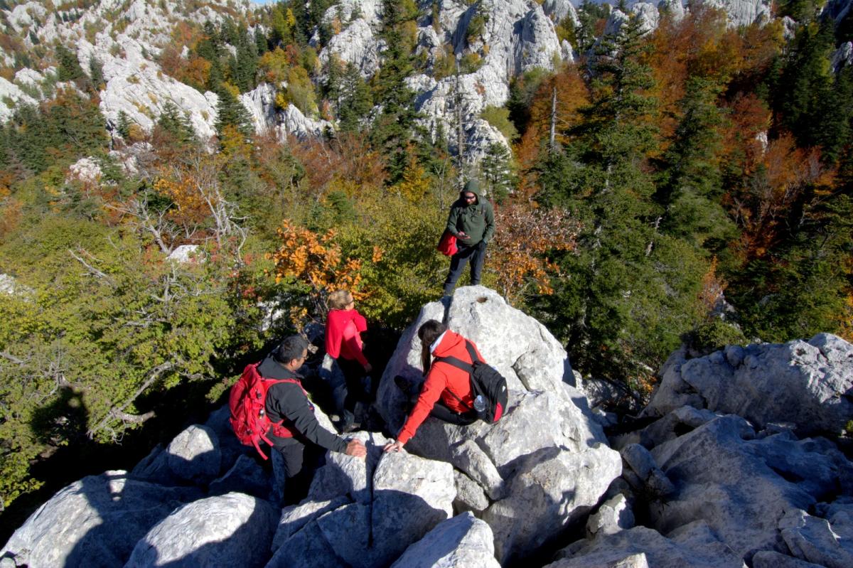 WhatsApp-Image-2021-10-24-at-201517-1