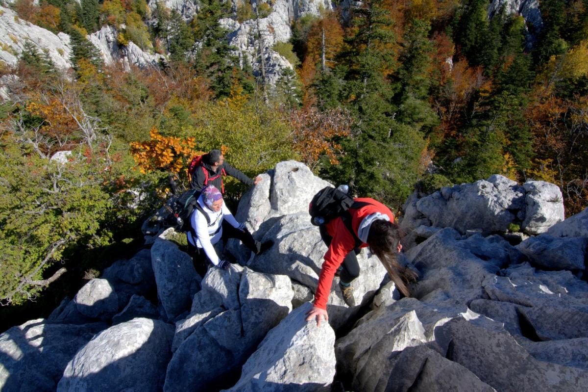 WhatsApp-Image-2021-10-24-at-201517