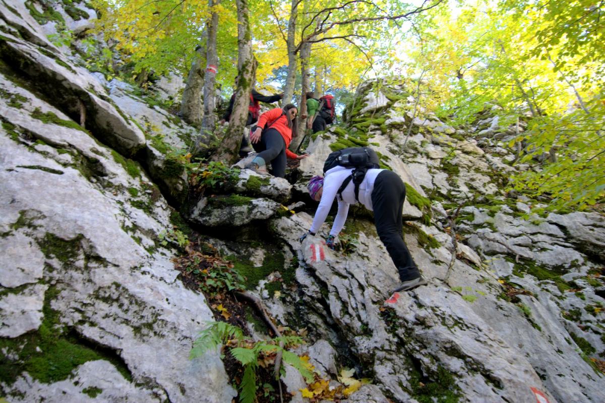 WhatsApp-Image-2021-10-24-at-201620