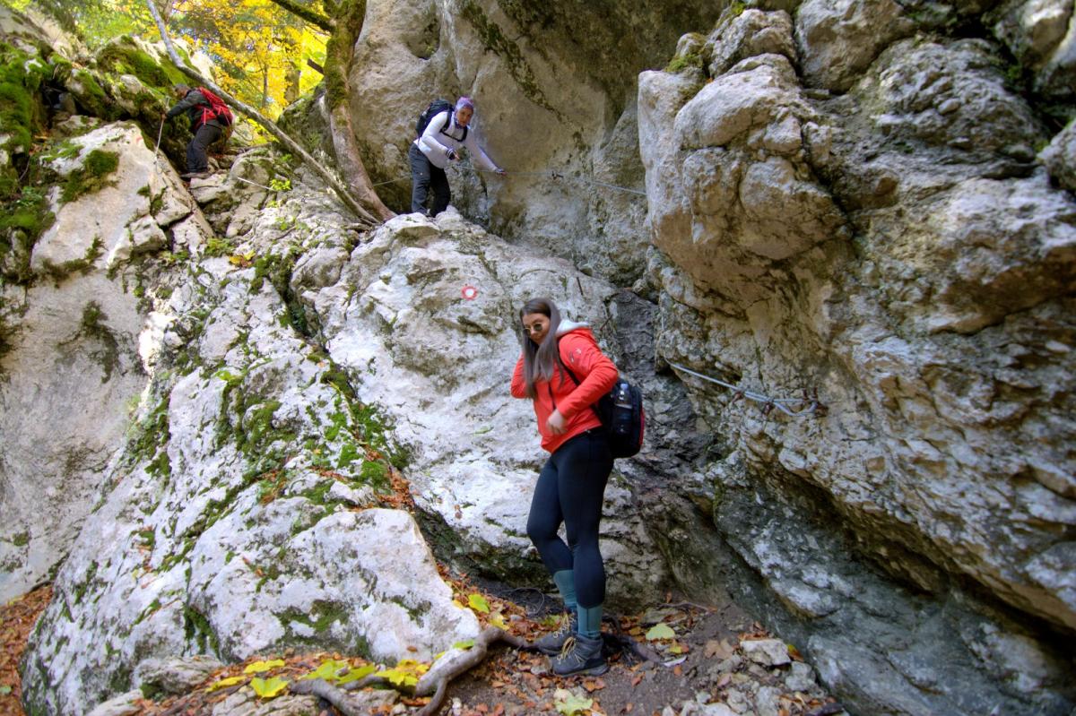 WhatsApp-Image-2021-10-24-at-201622-1