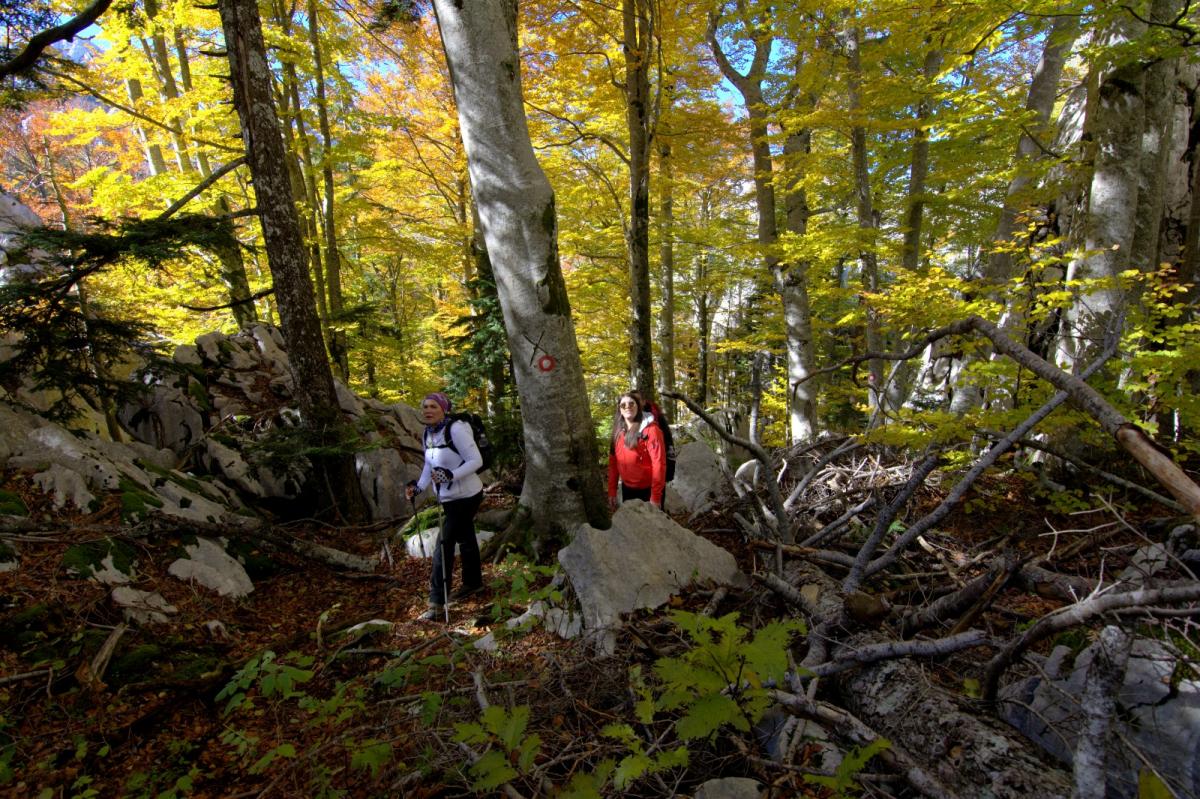 WhatsApp-Image-2021-10-24-at-201622-2