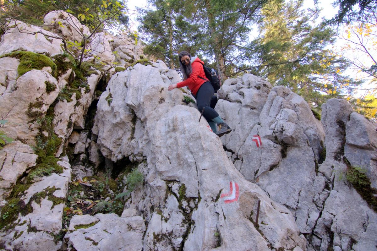 WhatsApp-Image-2021-10-24-at-201622-3