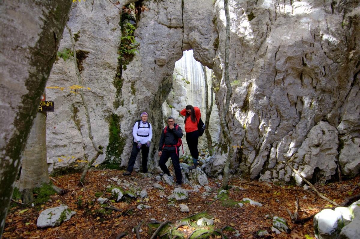 WhatsApp-Image-2021-10-24-at-201734-2