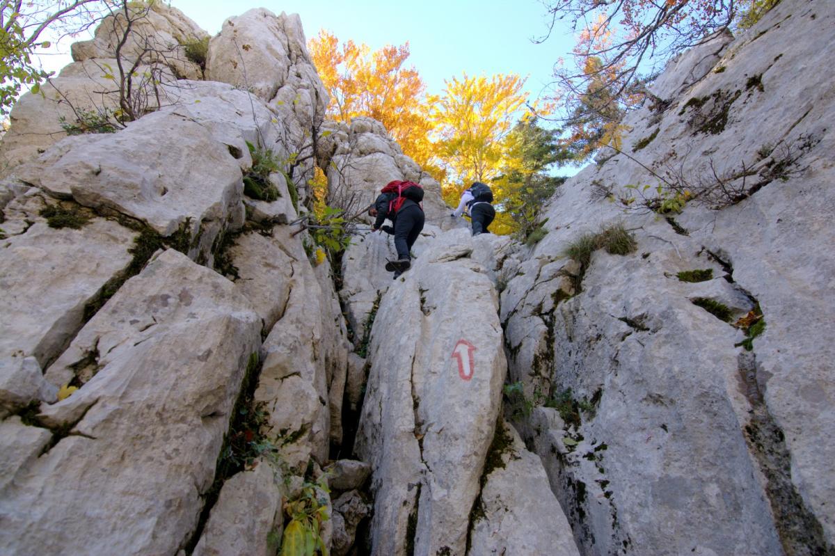 WhatsApp-Image-2021-10-24-at-201734