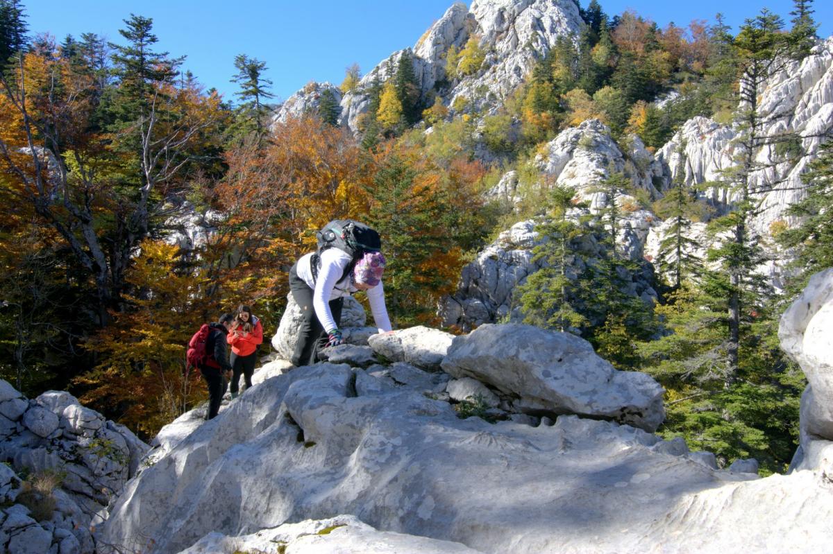 WhatsApp-Image-2021-10-24-at-201736-1