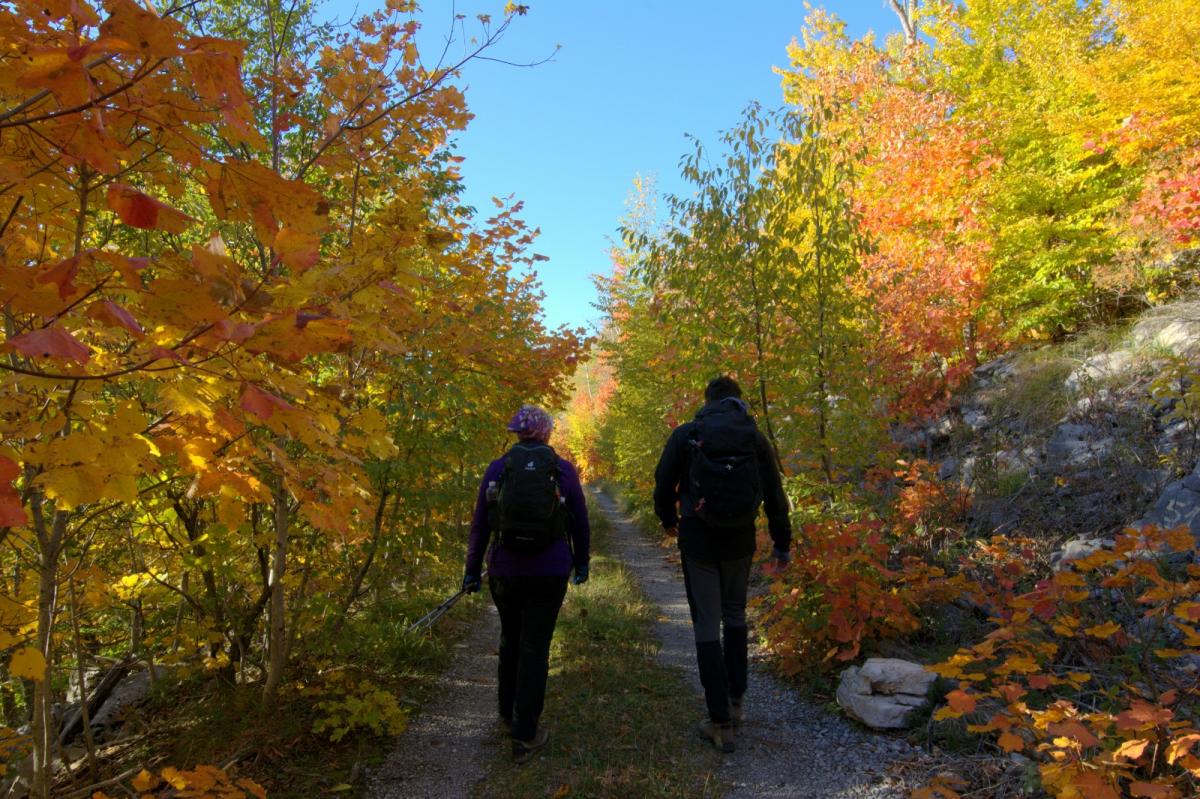 WhatsApp-Image-2021-10-24-at-201840-2