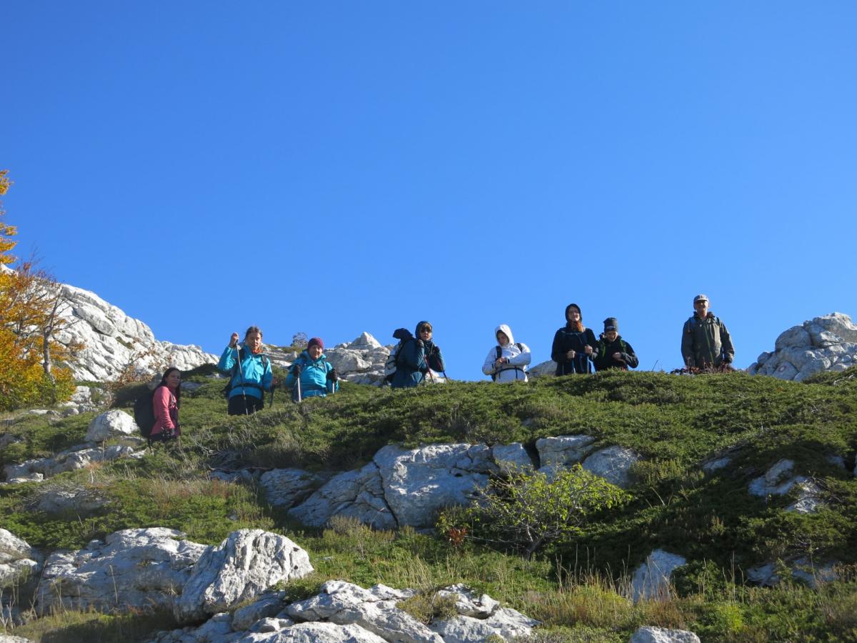 WhatsApp-Image-2021-11-05-at-123920