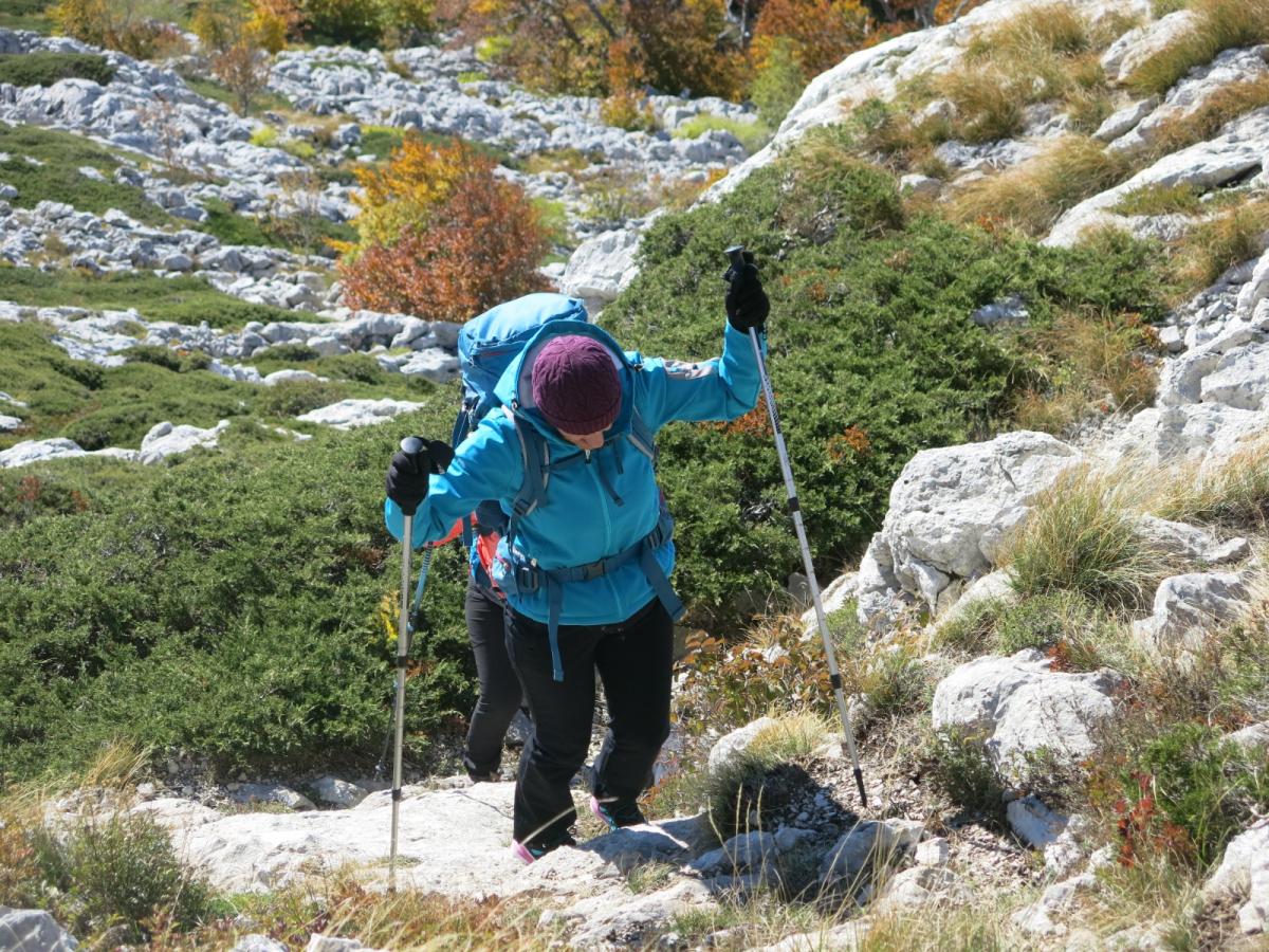 WhatsApp-Image-2021-11-05-at-123921-1