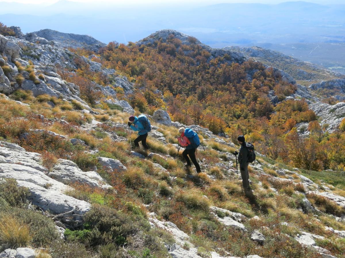 WhatsApp-Image-2021-11-05-at-123921