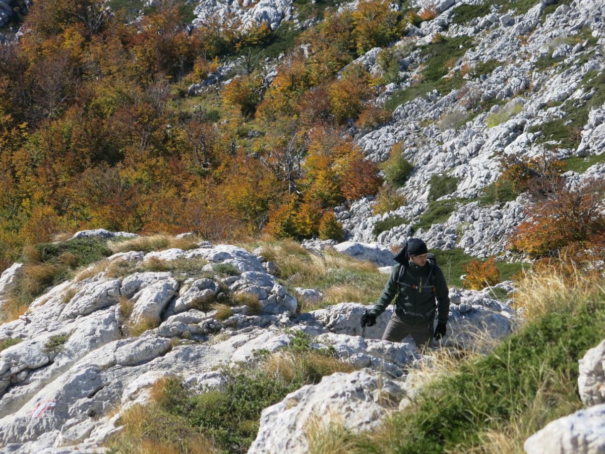 WhatsApp-Image-2021-11-05-at-123922-2