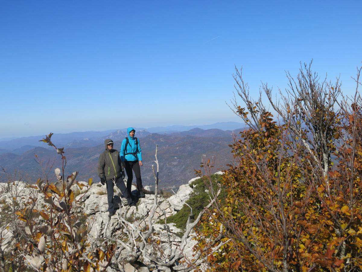 WhatsApp-Image-2021-11-05-at-123924