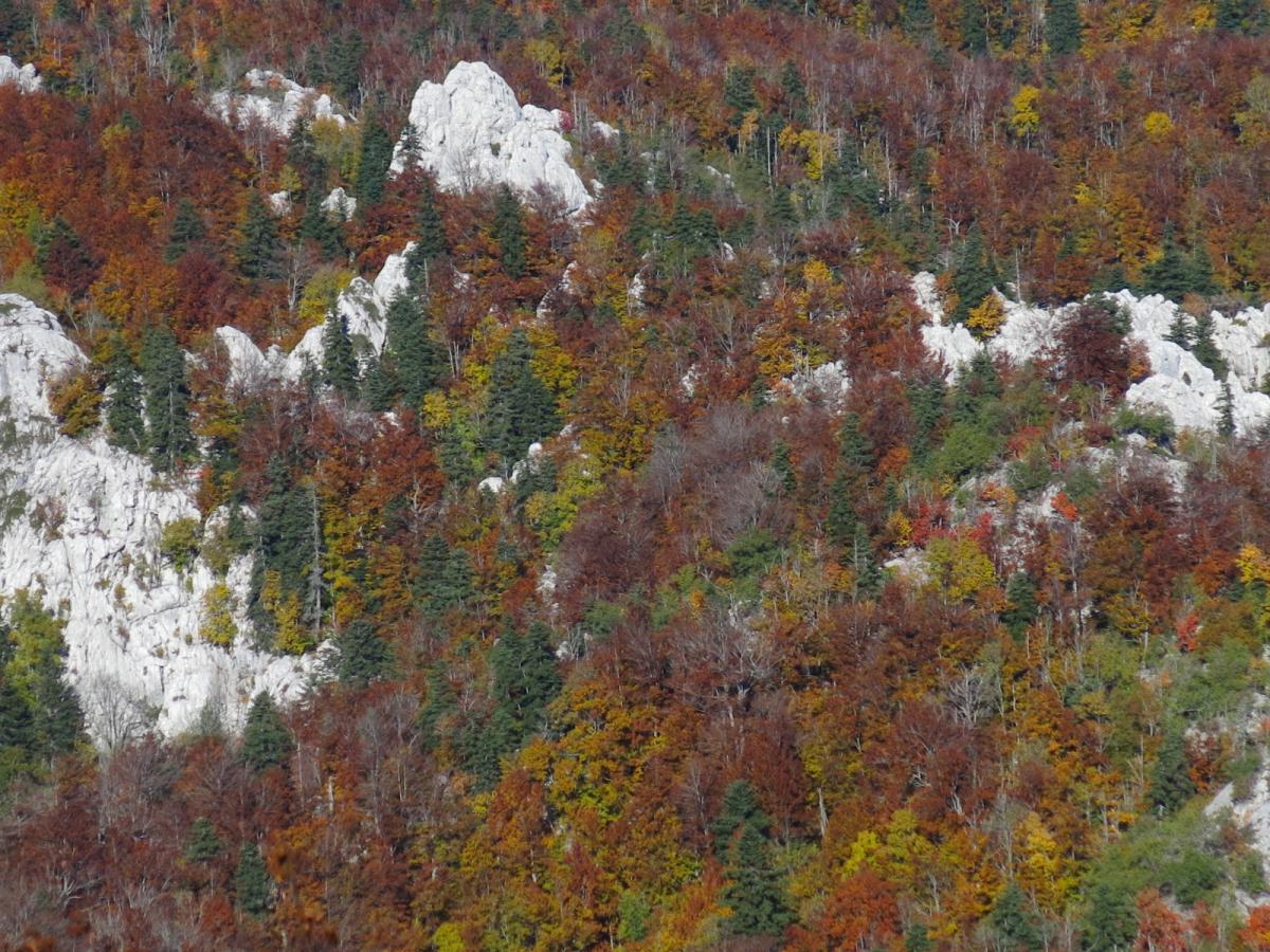 WhatsApp-Image-2021-11-05-at-123928