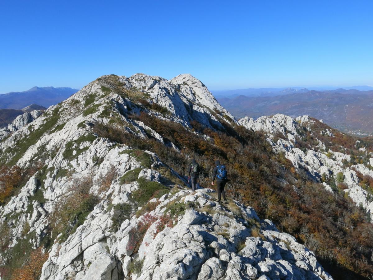 WhatsApp-Image-2021-11-05-at-123931-1