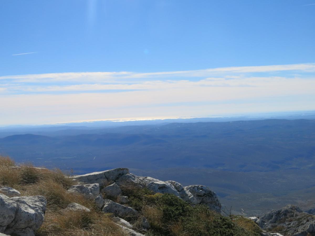 WhatsApp-Image-2021-11-05-at-123931