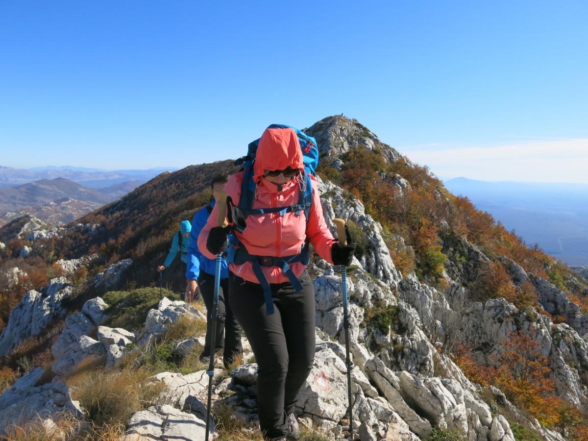 WhatsApp-Image-2021-11-05-at-123932