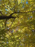 WhatsApp-Image-2021-10-24-at-185511