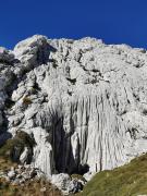 WhatsApp-Image-2021-10-24-at-185535