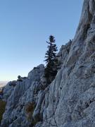 WhatsApp-Image-2021-10-24-at-185536