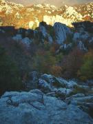 WhatsApp-Image-2021-10-24-at-192455-2