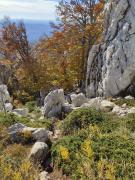 WhatsApp-Image-2021-10-24-at-200330