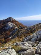 WhatsApp-Image-2021-10-24-at-200332-1