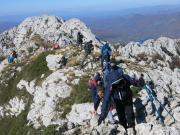 WhatsApp-Image-2021-11-05-at-123923-1