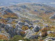 WhatsApp-Image-2021-11-05-at-123925-1