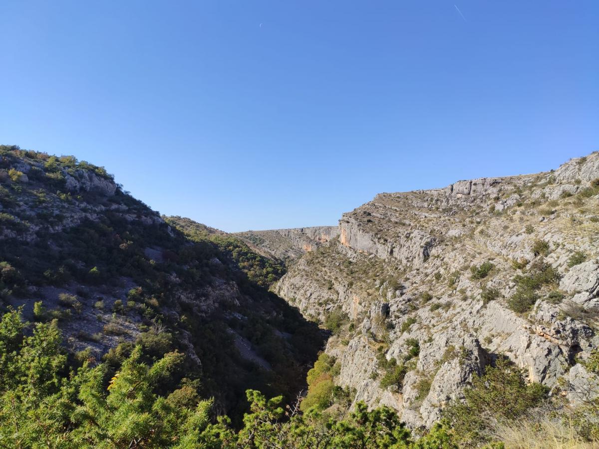 WhatsApp-Image-2021-10-30-at-143440