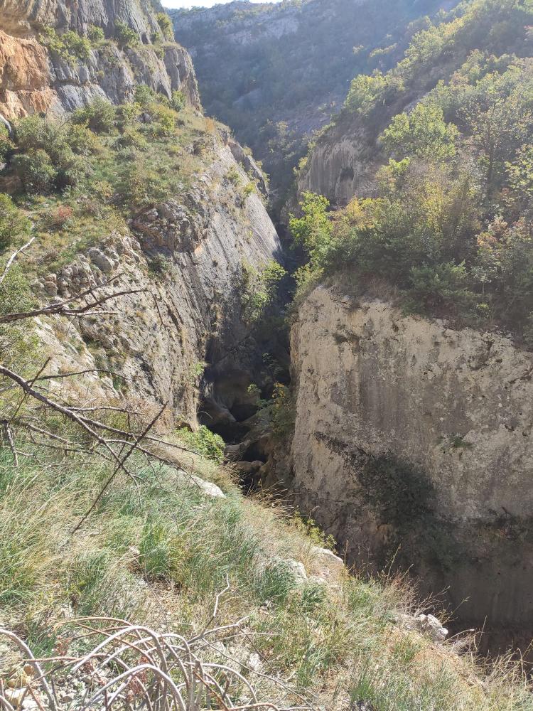 WhatsApp-Image-2021-10-30-at-143445-1