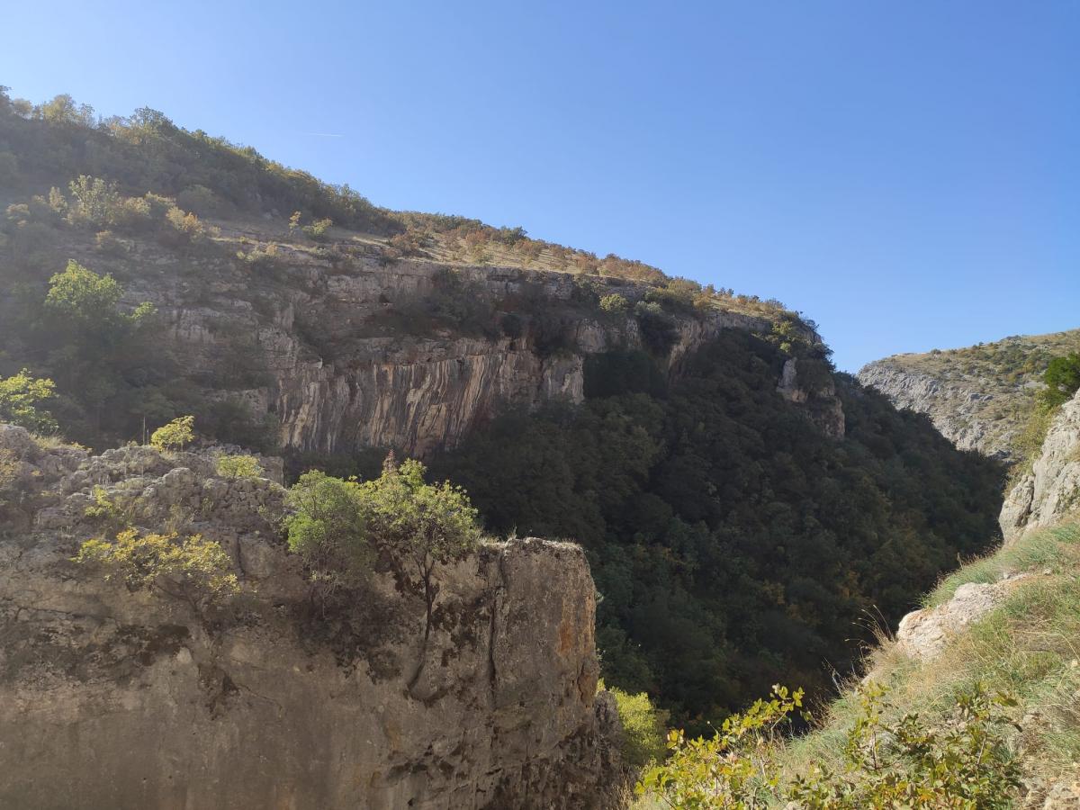 WhatsApp-Image-2021-10-30-at-143445-2