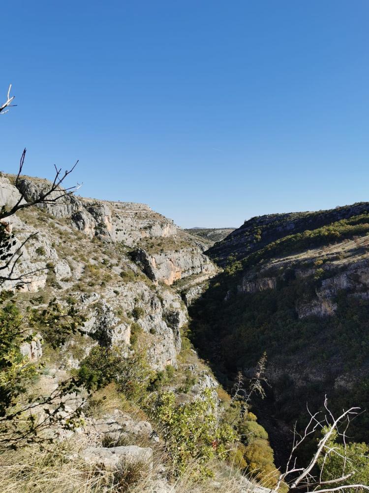 WhatsApp-Image-2021-10-30-at-154125