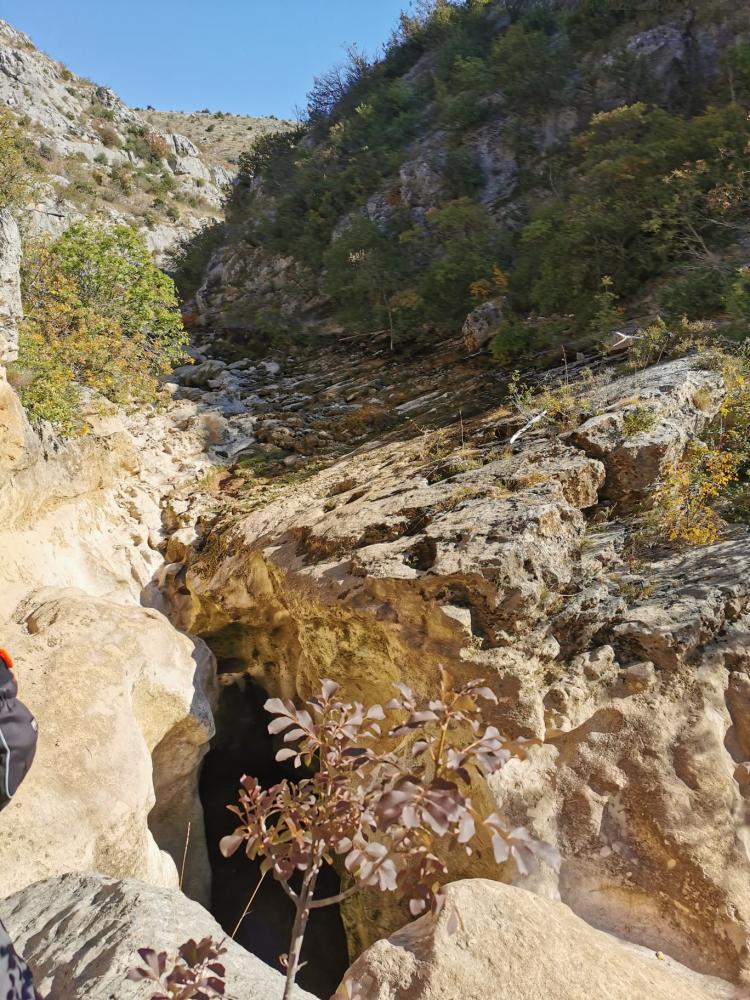 WhatsApp-Image-2021-10-30-at-154129-1