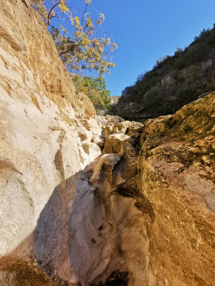 WhatsApp-Image-2021-10-30-at-154219-1