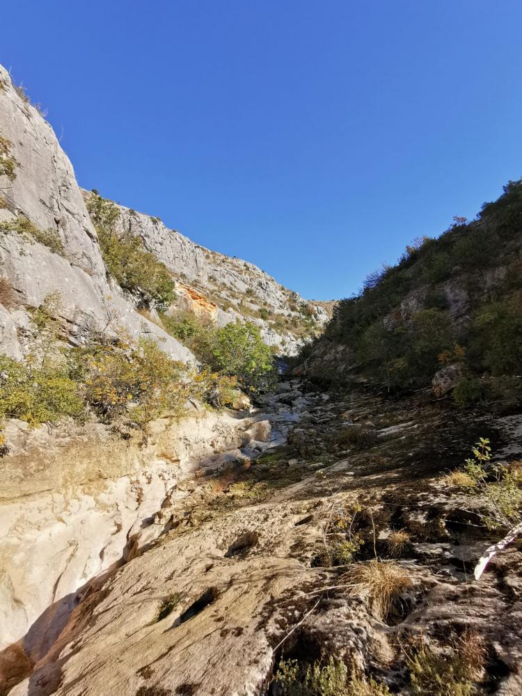 WhatsApp-Image-2021-10-30-at-154219